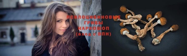 меф Мегион