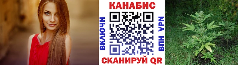 где продают наркотики  Наволоки  Конопля Bruce Banner 